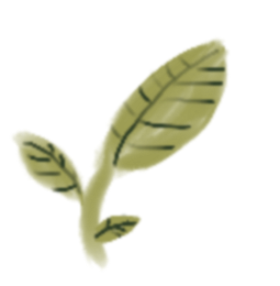 Natural Ingredients Cakes Perth